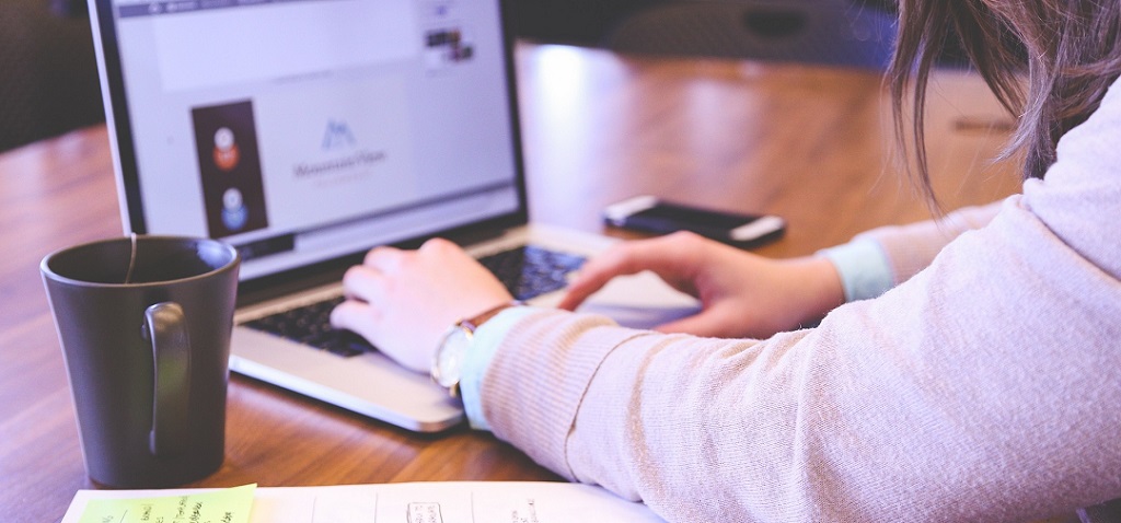 What makes a good software developer CV?