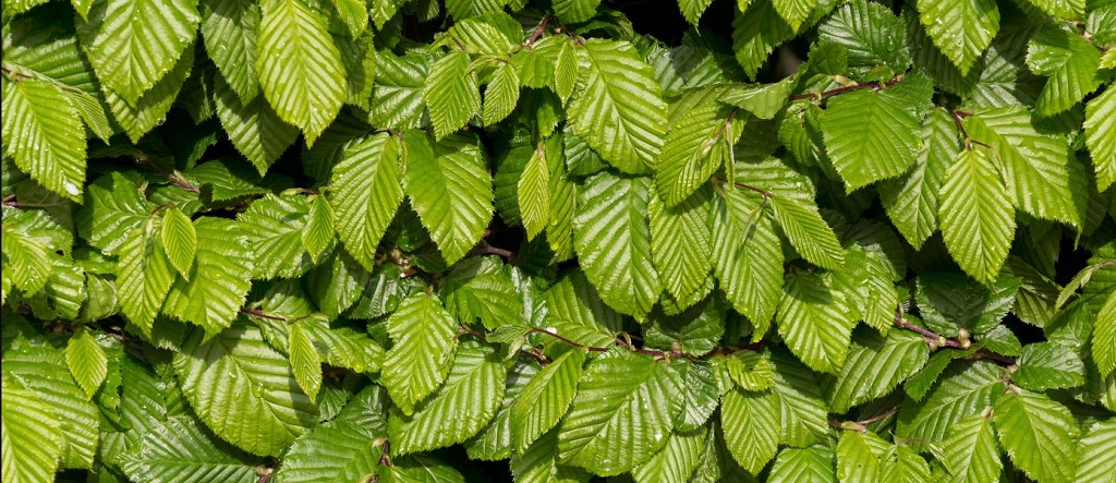 When to use a Java framework like Spring?