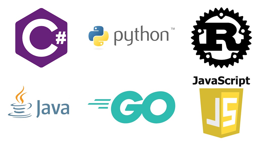 You should learn multiple programming languages