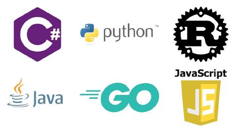 You should learn multiple programming languages | e4developer